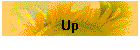 Up